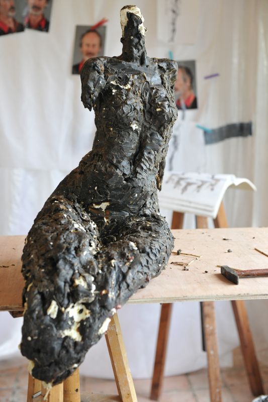 Mermaid - Christine Wiersema