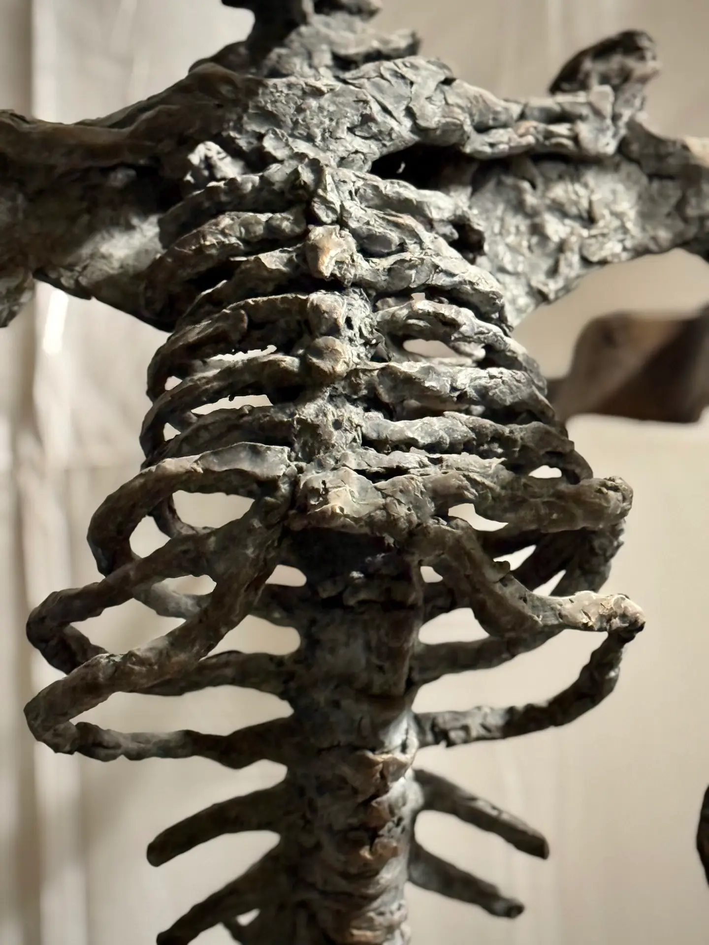 Rib structure | Death | Inner Voice | Christine Wiersema